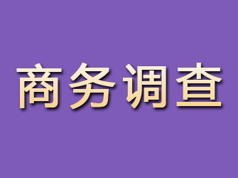 大安区商务调查